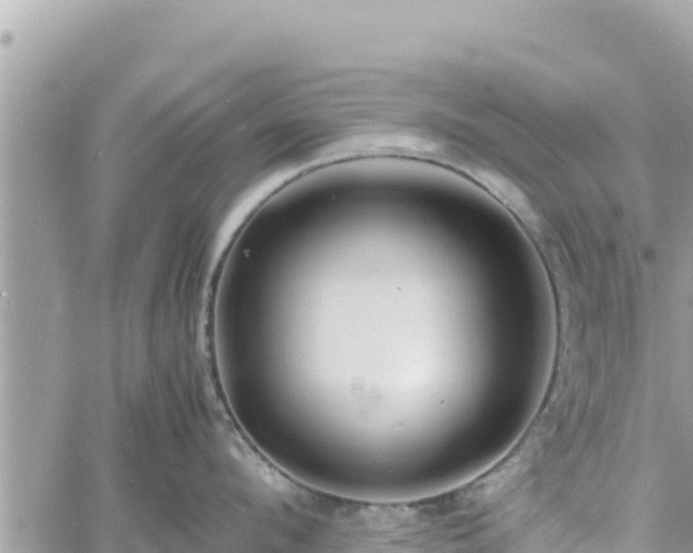 X0000060750912200511171119