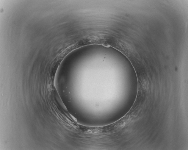 X0000060750914200511171118