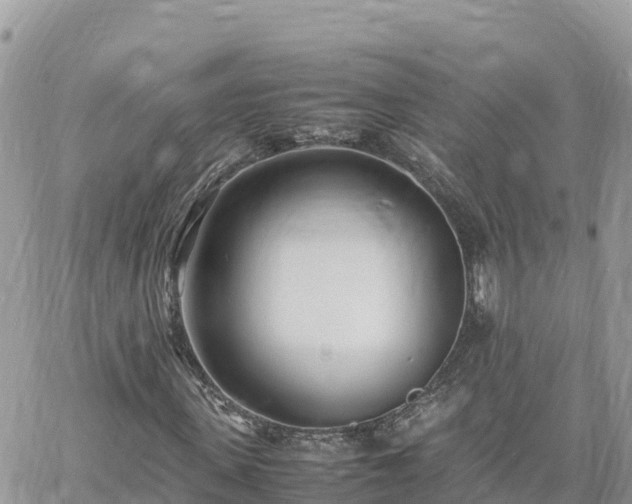 X0000060750915200511171118