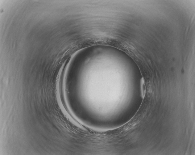 X0000060750916200511171118