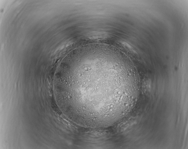 X0000060750917200511171118