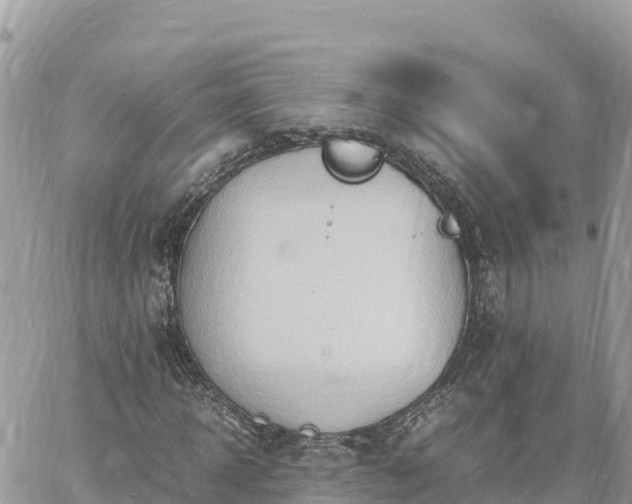 X0000060750918200511171118