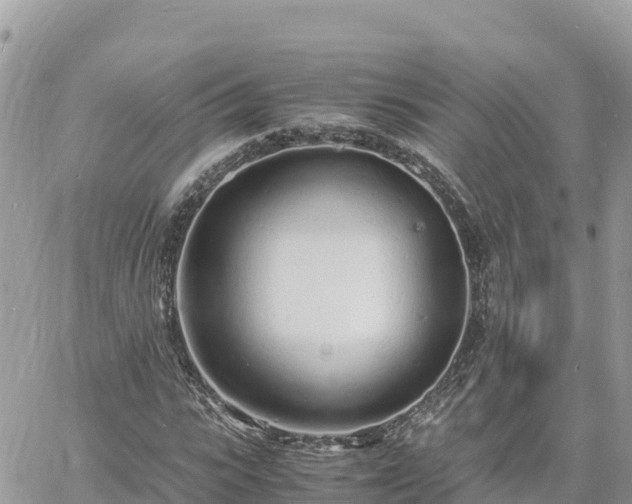 X0000060750919200511171118