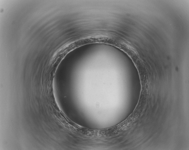 X0000060750920200511171119