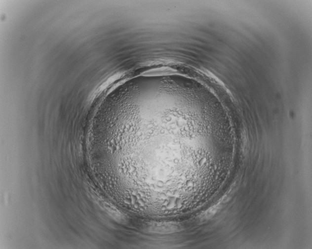 X0000060750921200511171119