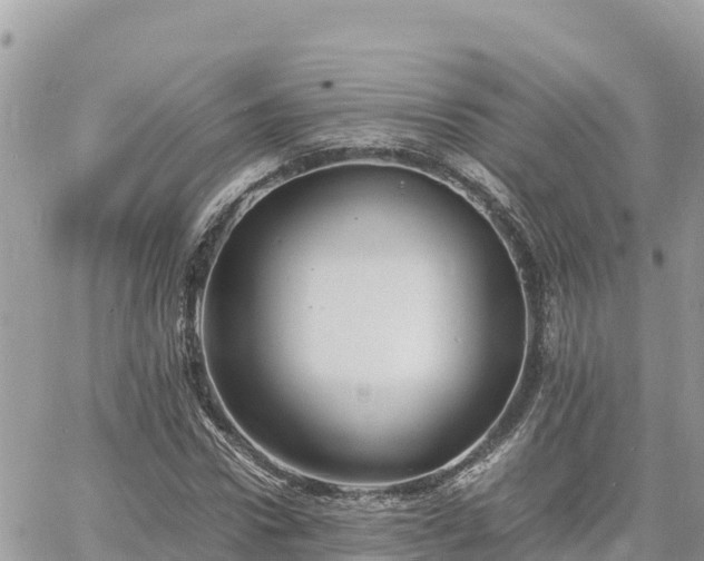 X0000060750922200511171119