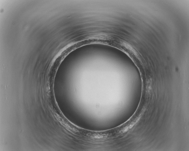 X0000060750923200511171119