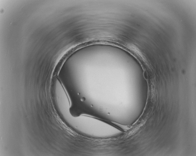 X0000060750924200511171119