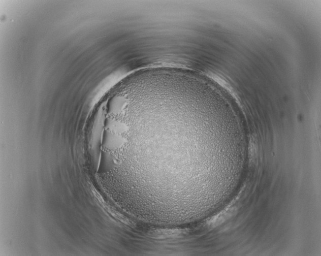 X0000060750925200511171119