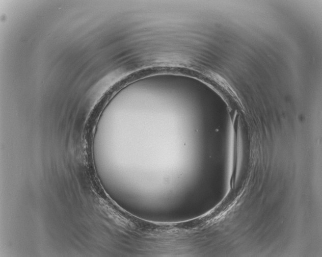 X0000060750926200511171119