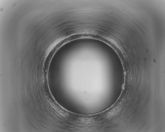 X0000060750927200511171119