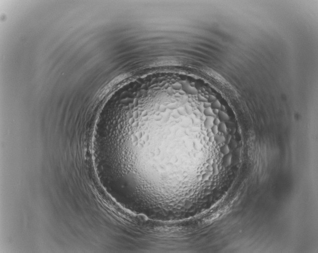 X0000060750929200511171119