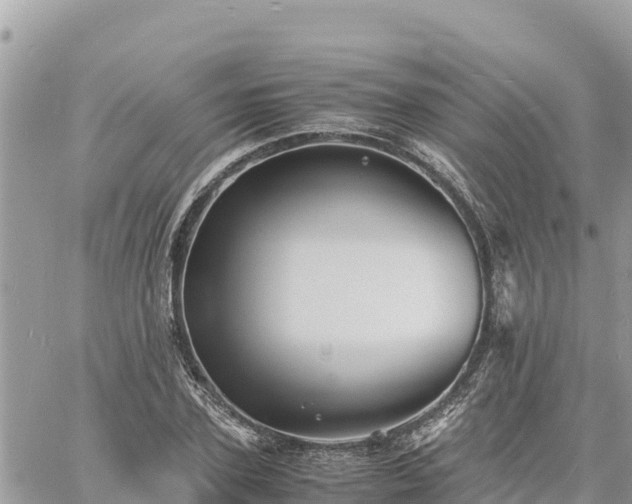 X0000060750931200511171119