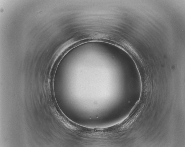 X0000060750932200511171119