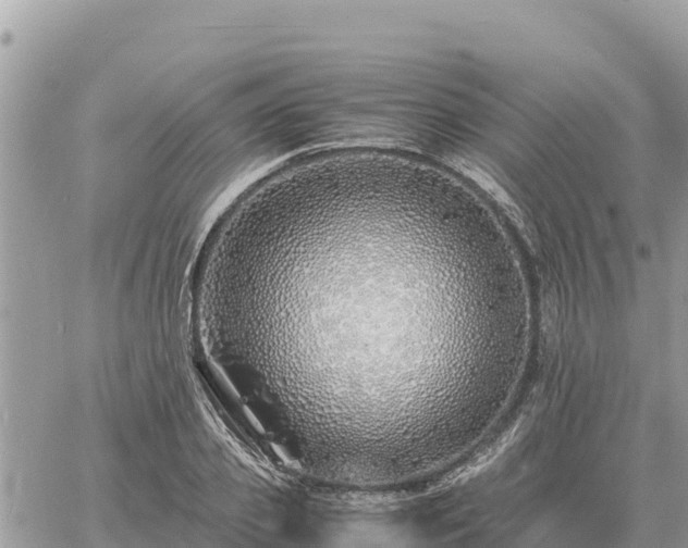 X0000060750933200511171119