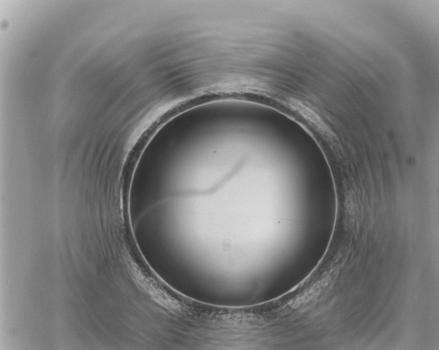 X0000060750934200511171119