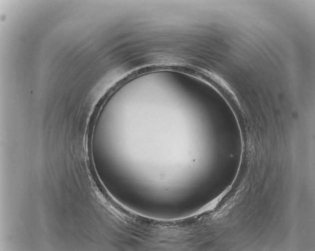 X0000060750935200511171119