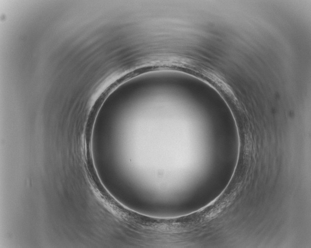 X0000060750936200511171119