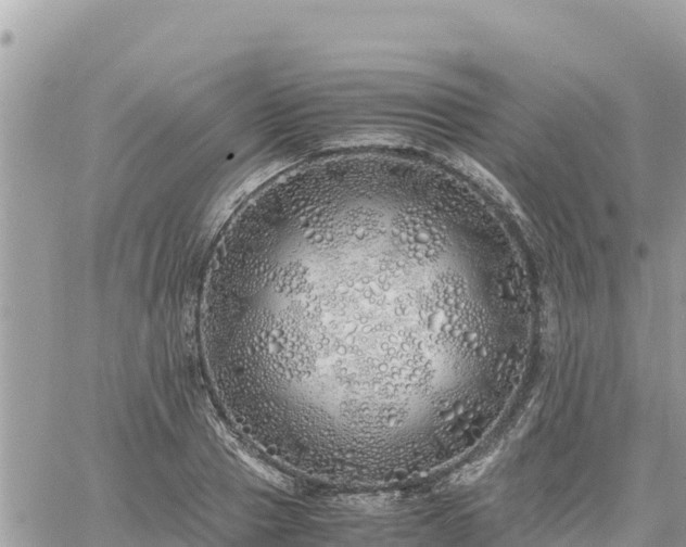 X0000060750937200511171119