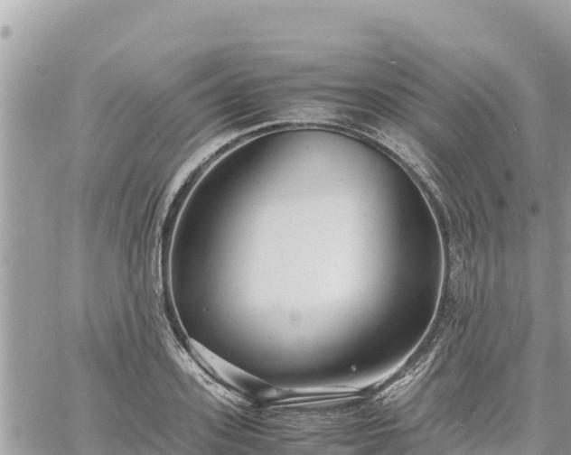 X0000060750939200511171119