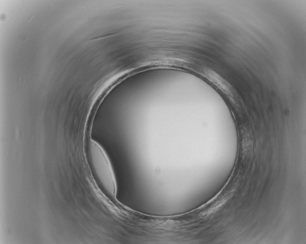 X0000060750940200511171119