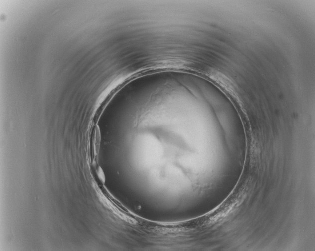 X0000060750941200511171119