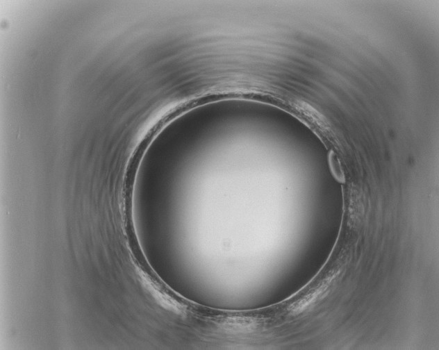 X0000060750942200511171119