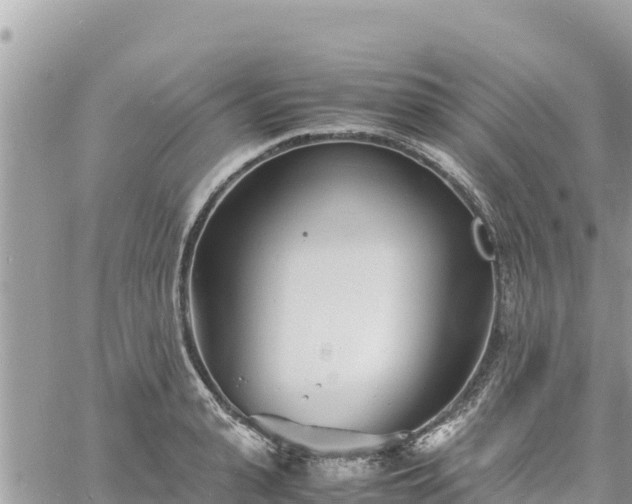 X0000060750943200511171119