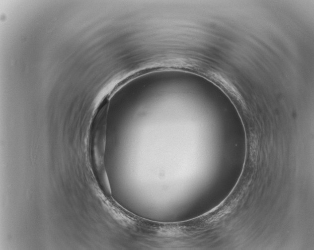 X0000060750944200511171119