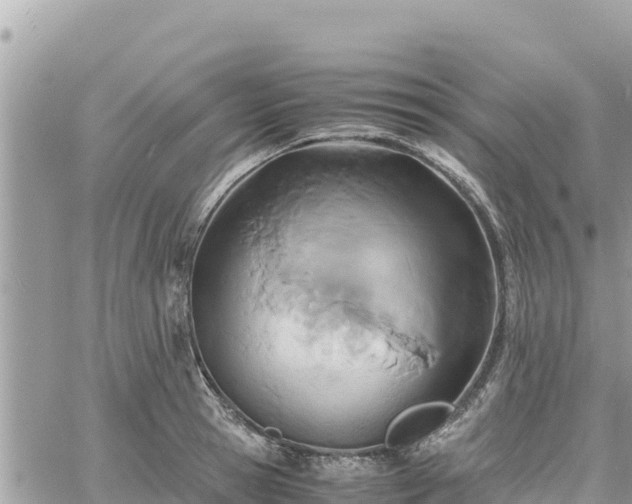 X0000060750945200511171119