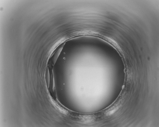 X0000060750946200511171119