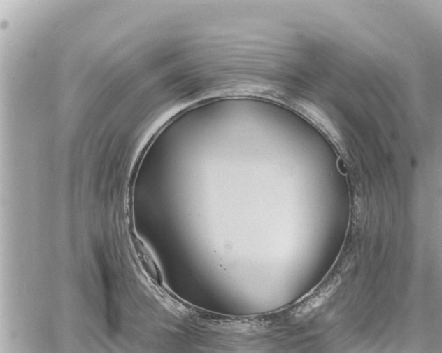 X0000060750948200511171119