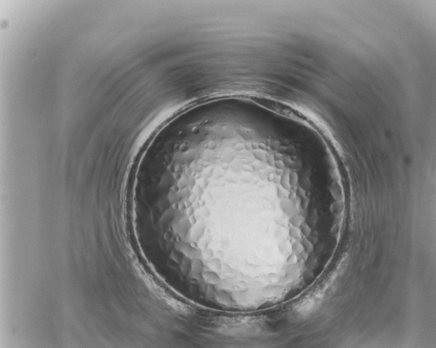 X0000060750949200511171119