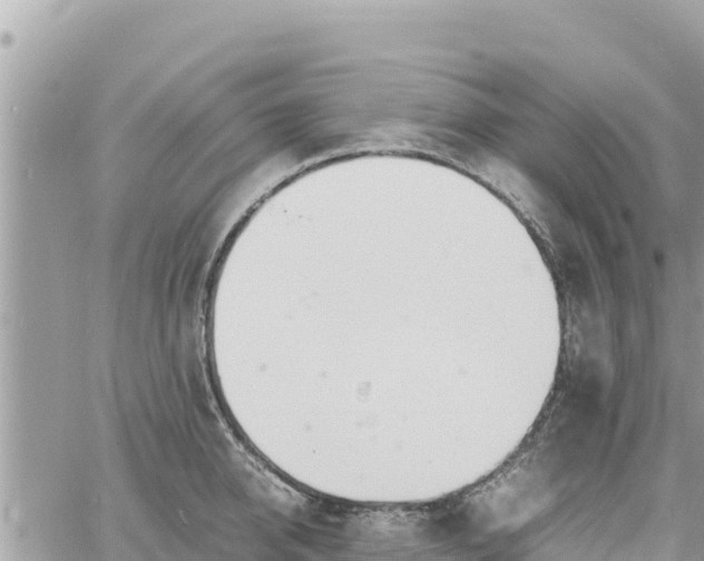 X0000060750950200511171119