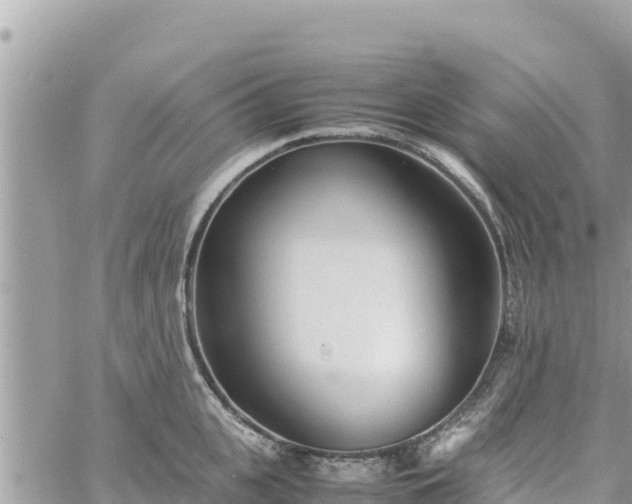 X0000060750951200511171119