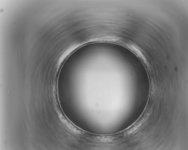 X0000060750952200511171119