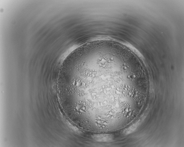 X0000060750953200511171119