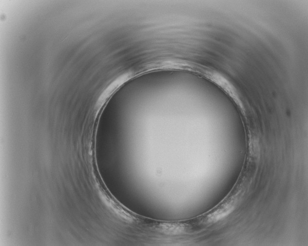 X0000060750954200511171119