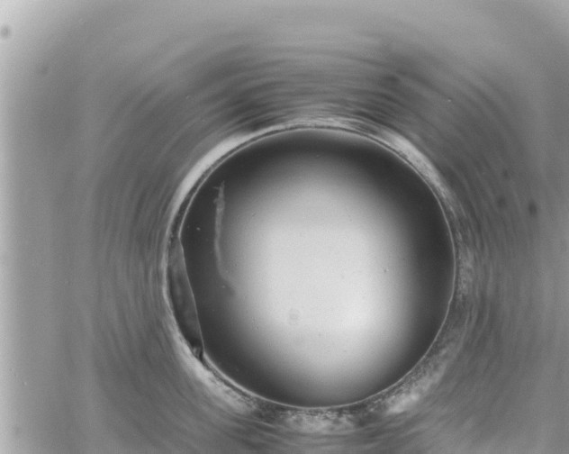 X0000060750955200511171119