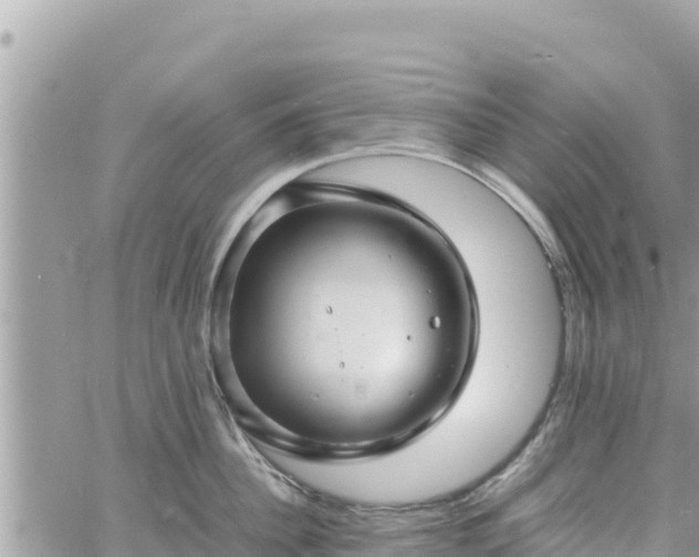 X0000060750956200511171119