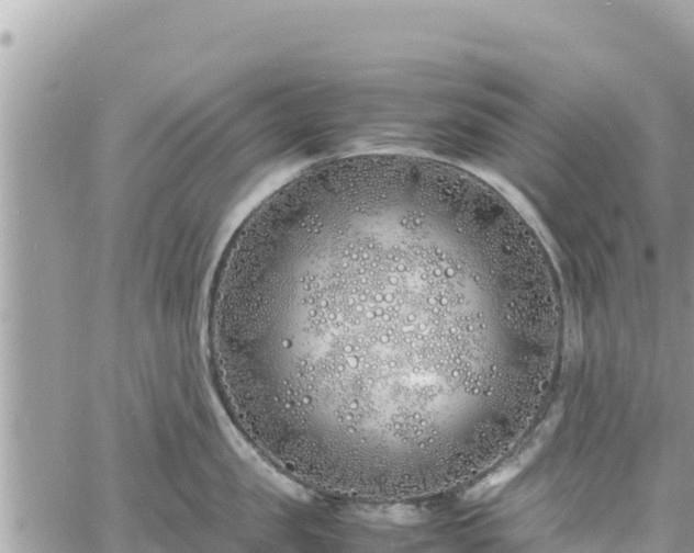 X0000060750957200511171119