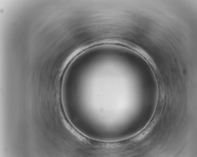 X0000060750958200511171119