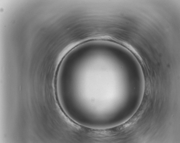 X0000060750959200511171119