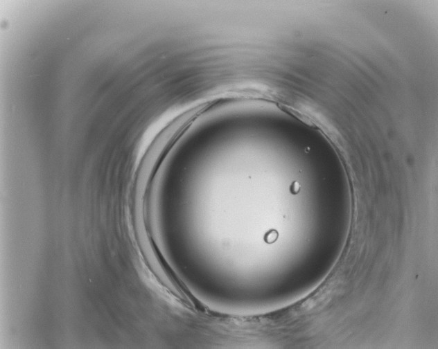 X0000060750960200511171119