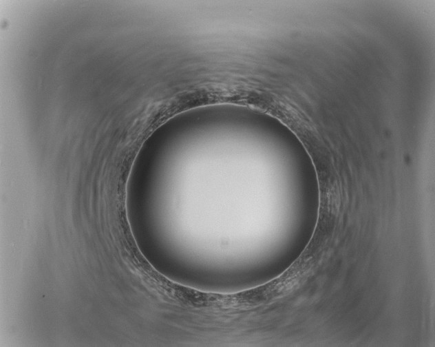 X0000060750961200511171118