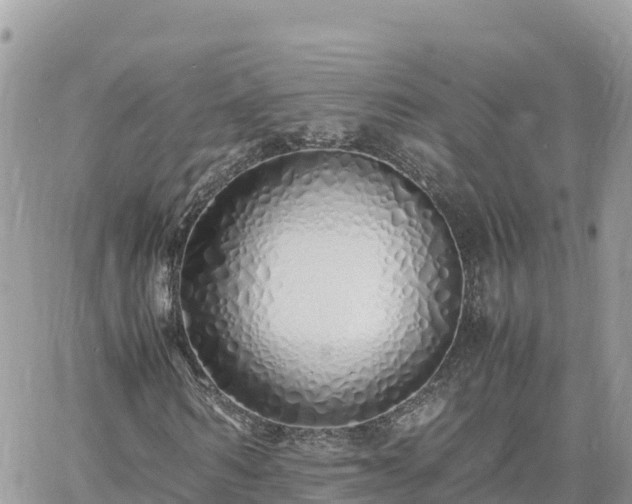 X0000060750962200511171118