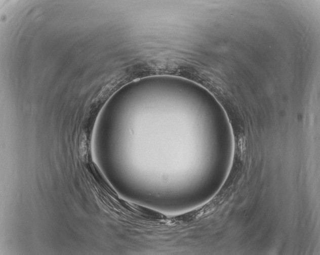 X0000060750963200511171118