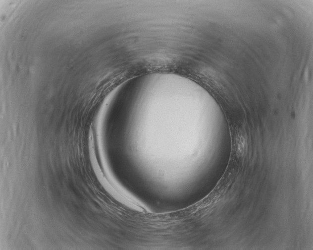 X0000060750964200511171118