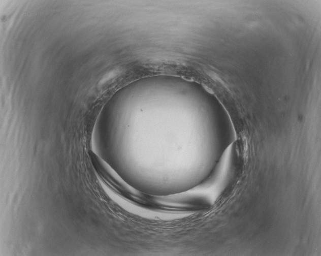 X0000060750965200511171118