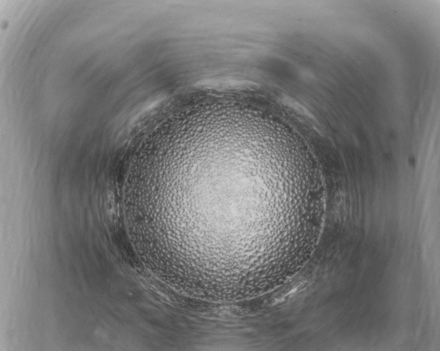 X0000060750966200511171118